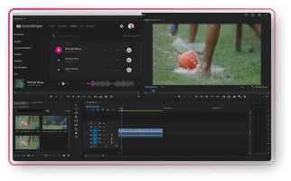 adobe-demo-1